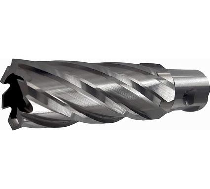 Сверло корончатое Буревестник 17x50 мм, HSS, Universal / Weldon 19 B023630