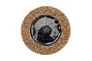 Шлифовальный круг DIABLO R-TYPE SCB COARSE 50 мм ABRAFORM RTYPE-SCB-COARSE-50