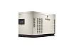 Газовый генератор Generac RG 02224 RNAX