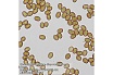 Микроскоп Bresser Researcher Trino 62567