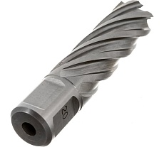 Сверло кольцевое (20х55 мм; HSS; Weldon 19) Euroboor HCL.200