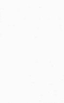 Плитка Шахтинская плитка Муза белая 01 25х40 см, 10100001161