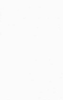 Плитка Шахтинская плитка Муза белая 01 25х40 см, 10100001161