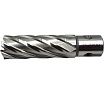 Сверло корончатое TORNERI 21х50 мм, HSS, Universal / Weldon 19 Т023634