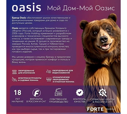 Бензиновая цепная пила Oasis GS-22
