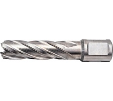 Сверло кольцевое (16х55 мм; HSS; Weldon 19) Euroboor HCL.160