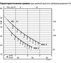 Самовсасывающий электронасос Calpeda NGLM 2 230/50 Hz 100381803
