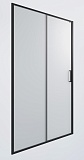 Душевая дверь Timo TD-120/03F-6 120x195 матовое, черный