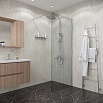 Душевая перегородка Niagara Eco NG-531-70 70x190 стекло прозрачное, хром