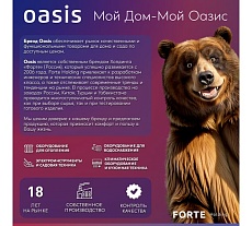 Бензиновая цепная пила Oasis GS-14 4640015389897