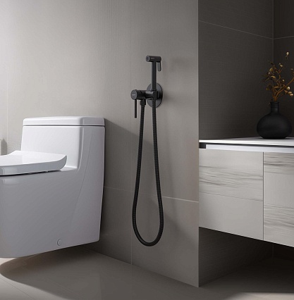 Смеситель Aquatek Европа AQ1021MB с гигиеническим душем, черный матовый Смеситель Aquatek Европа AQ1021MB с гигиеническим душем, черный матовый