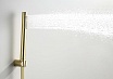 Душевой гарнитур Aquatek Европа AQ2034BG шлифованное золото