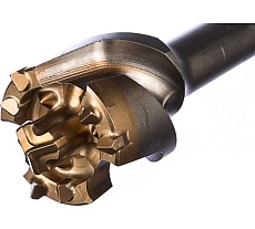 Бур проломной (55х990 мм; SDS-max) PROJAHN 818055990