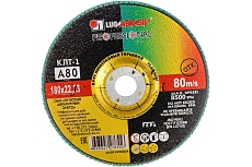 Круг лепестковый торцевой плоский КЛТ1 (180х22 мм; А 80; 14А 20/Р80) Луга 4603347276556