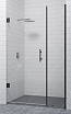 Душевая дверь RGW Hotel HO-012B 100x195, прозрачное стекло, черный