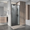 Душевая дверь Niagara Nova 100x195 прозрачное, графит NG-34-10AGR
