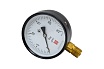 Манометр ДМ 1 Т2 100 Р (0-25) бар, кл.1.5, G1/2" BD 1151100016