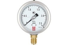 Манометр ДМ 2 100 Р (0-2.5) МПа, кл.1.0, М20x1.5 BD 1152100008