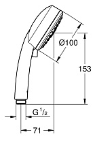 Душевая лейка Grohe New Tempesta Cosmopolitan 100 27572001