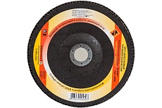 Круг лепестковый торцевой конический (180х22.2 мм, К40) Энкор 20540