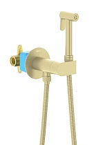Смеситель Aquatek Оберон AQ1024BG с гигиеническим душем, шлифованное золото