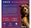 Бензиновая цепная пила Oasis GS-18 4640015389927