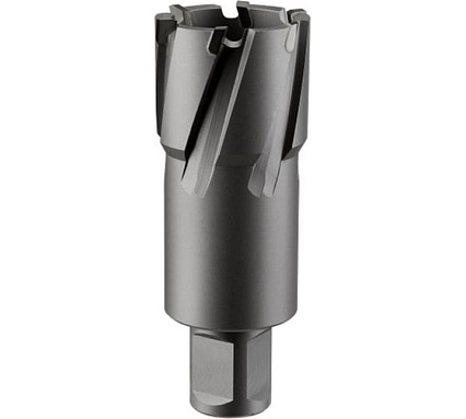 Фреза кольцевая TCT (45x55 мм; Weldon 19) Rotorica RT.4225045