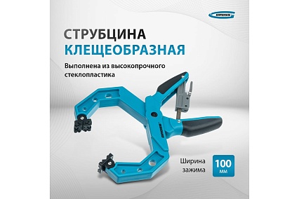 Клещеобразная струбцина Gross 100 мм 20805