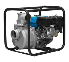 Мотопомпа бензиновая Eco WP-1203C