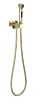 Смеситель Aquatek Европа AQ1020BG с гигиеническим душем, шлифованное золото