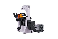Люминесцентный инвертированный цифровой микроскоп MAGUS lum vd500 lcd 83021