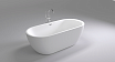 Акриловая ванна Black&White Swan SB105 170x80