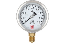Манометр ДМ 2 100 Р (0-1.6) МПа, кл.1.0, М20x1.5 BD 1152100006