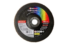 Круг лепестковый торцевой плоский КЛТ1 (180х22 мм; А 24; 14А 80/Р24) Луга 4603347276600