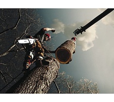 Бензопила Stihl MS 361 18&quot; 11352000519