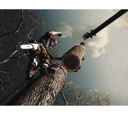 Бензопила Stihl MS 361 18" 11352000519