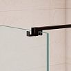 Душевая перегородка RGW Walk In WA-210B 120x195 с крючком для полотенца/халата, черный, матовое 351021012-24