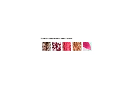 Микроскоп Levenhuk Rainbow 2L Lime 69038