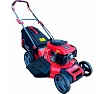 Самоходная бензиновая газонокосилка Expert-bis L53S 263236