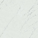 Керамогранит Atlas Concorde Marvel Stone Carrara Pure 60x60 Lappato, AZRL