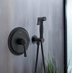 Смеситель Aquatek Классик AQ1519MB с гигиеническим душем, черный матовый