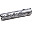 Сверло корончатое HSS (32х50 мм; Weldon 19) AT-S BS5032