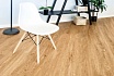 SPC ламинат Alpine Floor Sequoia Royal 1219,2x184,15x3,2 мм, ECO 6-4
