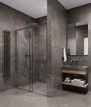 Душевая дверь Timo TDSS-120/13C-8R 120x200 прозрачное, никель