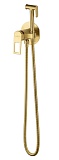 Смеситель Wonzon&Woghand Frame WW-88829010-BG с гигиеническим душем, брашированное золото