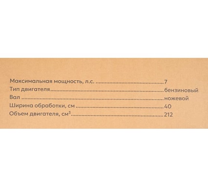 Бензиновый скарификатор Grizzly 7 л.с. SKY-20