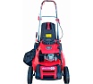 Самоходная бензиновая газонокосилка Expert-bis L53S 263236