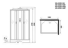 Душевая кабина Niagara NG 43285-14QF 120x80 стекло матовое, пульт управления, гидромассаж