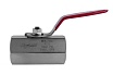 Шаровой кран Hy-Lok 110 серии из нержавеющей стали SS 316, BSPP 1" внутр. - BSPP 1" внутр. уплотнение peek BV-F-16G-PK