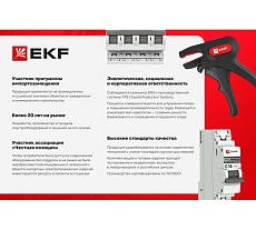 Бур по бетону SDS-plus 14x260 мм, 4 резца Expert EKF db-14-260-4x4